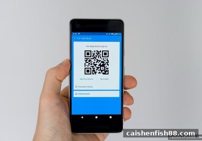 财神捕鱼教你玩转支付宝充值USDT与提现全流程避坑指南