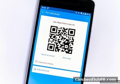 血战麻将的数字货币到账审核全攻略，财神捕鱼玩家必知