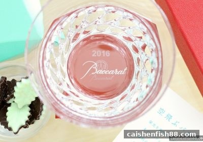 财神捕鱼启示录：体育竞技桌游中协作与竞争的终极平衡之道
