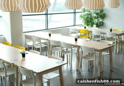 财神捕鱼启示：桌游团队协作的解密与USDT提现实操指南