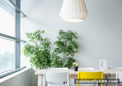 财神捕鱼实战指南：真人游戏时间掌控与赛果统计的核心技巧