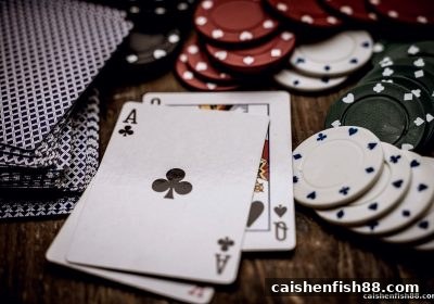 财神捕鱼视角下的桌游角色设定与玩法创新