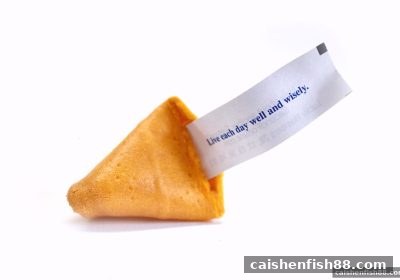 财神捕鱼视角：快乐十分幸运数字分析的全新策略指南