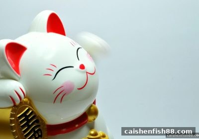 财神捕鱼视角下的腾讯分分彩极速赛车：玩法精讲与风险规避指南