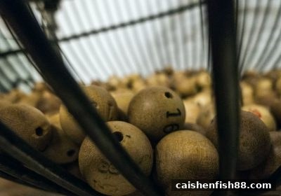 财神捕鱼教你玩转滚球盘：直选与组选数字投注深度解析