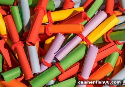 财神捕鱼视角：数字游戏的社交基因如何让关系红利自然生长