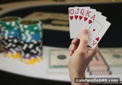 财神捕鱼揭秘：PK10起手牌胜率的关键认知与实战技巧