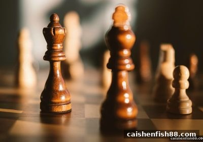 财神捕鱼视角下的围棋棋手成长与职业蓝图