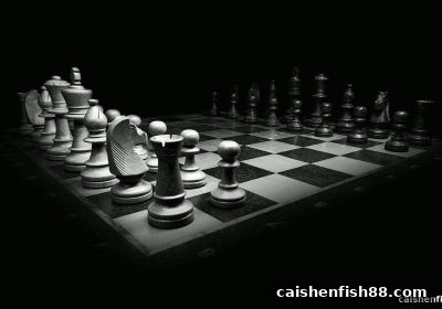 财神捕鱼的选台哲学：如何精准锁定值得信赖的棋牌平台？