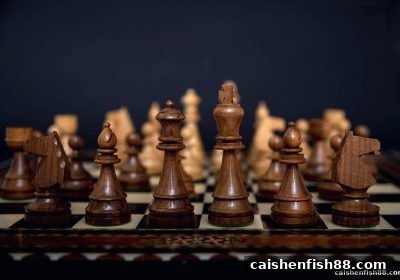 从国际象棋到财神捕鱼：棋牌玩家如何修炼局势判断与取舍智慧？