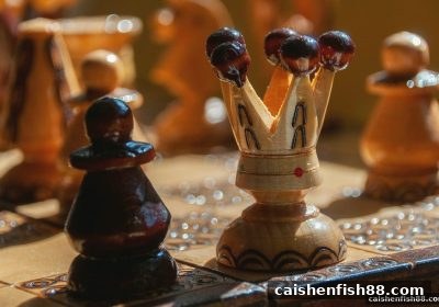 财神捕鱼：国际象棋残局通关秘籍——系统化思维与合规平台实战