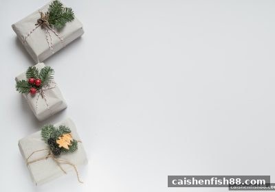 财神捕鱼教你识别：注册红包活动中的安全套路与合规指南