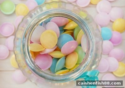 财神捕鱼带你读懂ERC20充值申请审核周期全攻略