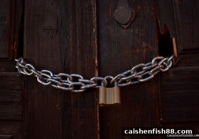 安卓设备安全下载全攻略：如何像玩财神捕鱼一样稳操胜券？