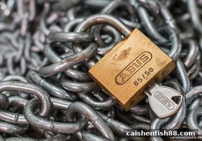 财神捕鱼玩家维权全攻略：账户受限或资金冻结？四步合法解决路径