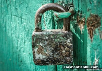 财神捕鱼用户维权全攻略：被黑平台后如何高效投诉，拿回你的钱！