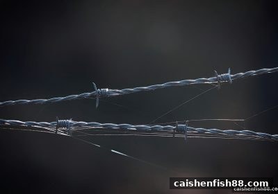 财神捕鱼教你化解充值优惠争议：权益维护实用手册