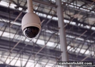 财神捕鱼玩家必读：游戏安全提示为何不容忽视？