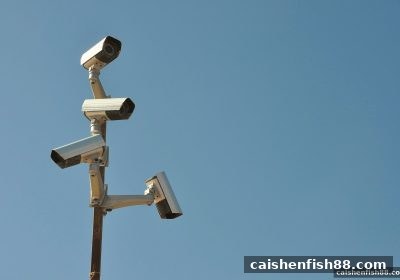 财神捕鱼揭秘：极速赛车黑平台骗局全解析与避坑指南