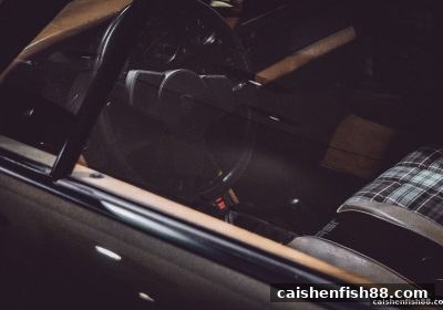 财神捕鱼视角：电子娱乐平台性能深度对比与风险平台甄别全攻略