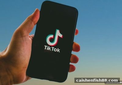 财神捕鱼深度解读：水果机玩法背后的概率逻辑与理性娱乐之道