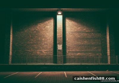 财神捕鱼终极指南：转轴玩法原理、ISO认证与合规平台选择