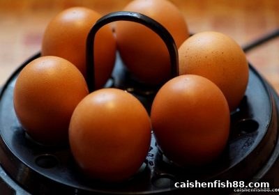 财神捕鱼玩家必读：OG真人连线策略的深度实战指南