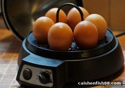 财神捕鱼玩家必修课：转轴配置深度解析与实战策略