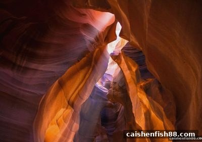 财神捕鱼深度拆解：幸运飞艇特殊符号的设计密码与理性应对