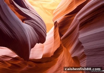 财神捕鱼探秘：奇幻主题玩法与返点结算如何赋能电子游艺平台大满贯之路